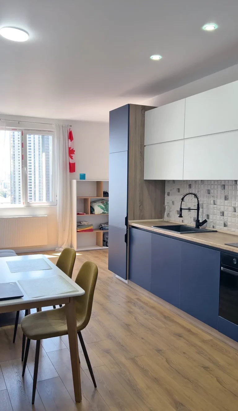 kitchen with kitchen unit, table, chairs and sofa in renovated apartment